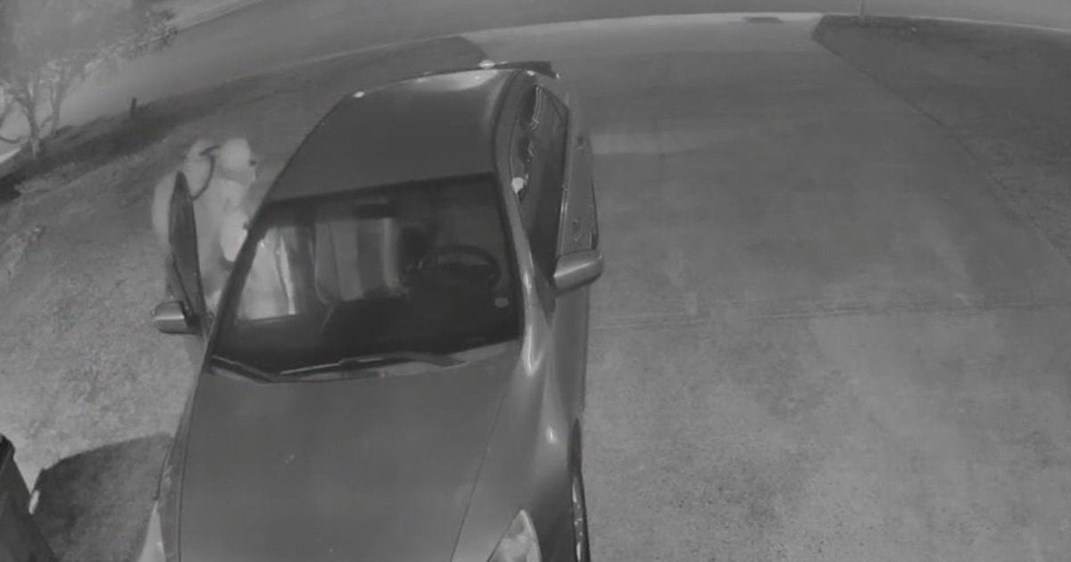 South Fulton police looking for thief who ransacked vehicle | FOX 5 Atlanta
