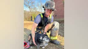 Firefighters rescue dog from burning Carroll County home