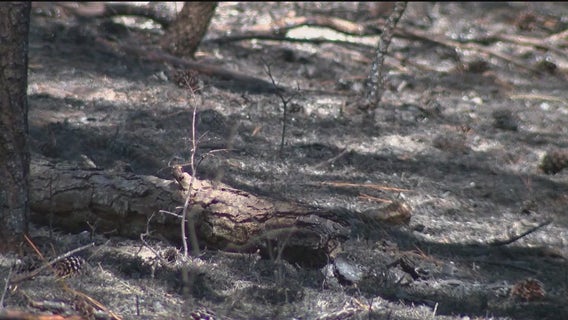 Floyd County wildfires were intentionally set, officials say
