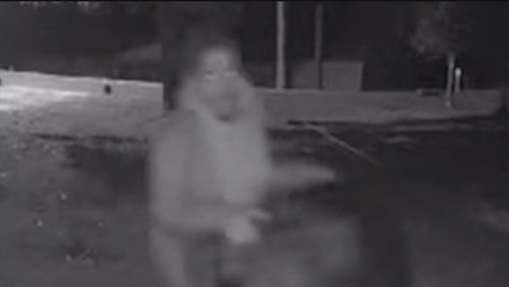 Reward doubles to $10K in case of severely emaciated puppy abandoned in Cobb County