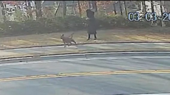 South Fulton woman accused of stabbing neighbor’s dog to death