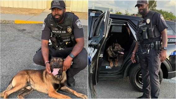 New Rome Police Department K-9 officer introduced to city