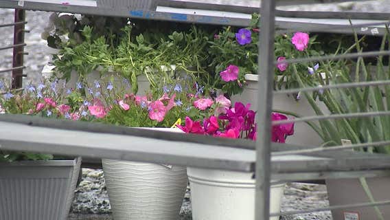 Paulding County plant nursery social media hoax leads to false giveaway: 'Do the right thing'