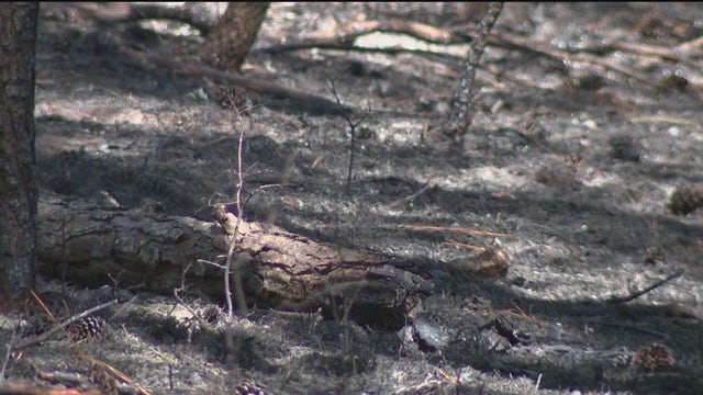 Floyd County wildfires were intentionally set, officials say