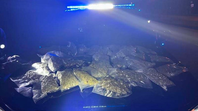 Lake City police seize 8.8 pounds of marijuana, handgun during traffic stop
