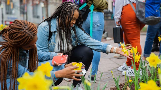 Downtown Atlanta, Daffodil Project celebrates planting of millionth daffodil