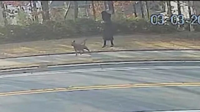 South Fulton woman accused of stabbing neighbor’s dog to death