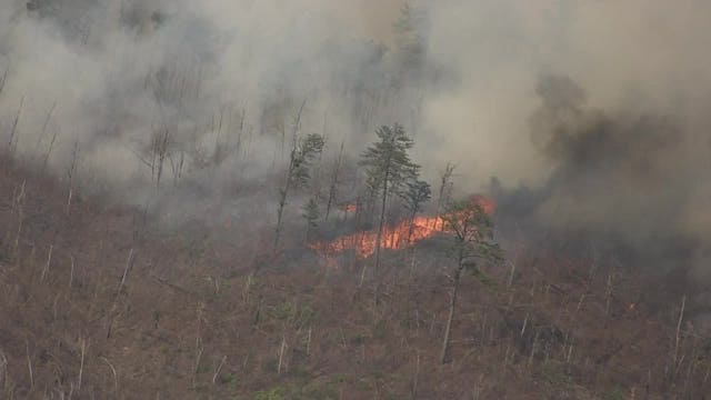 Georgia's national forests enforce campfire ban amid rising wildfire threats