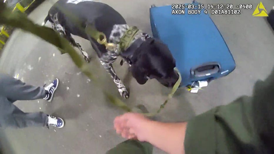 The Atlanta Police Department’s Airport Drug Interdiction Unit uses a K-9 to sniff for a illegal narcotics at Hartsfield-Jackson Atlanta International Airport on March 14, 2025.