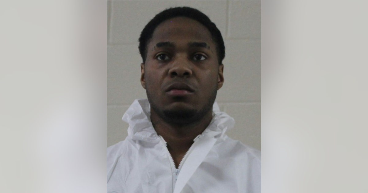 Warner Robins man sentenced to life for malice murder in Michaela ...