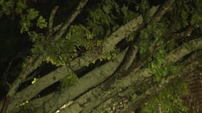 Severe storms batter North Georgia: Fannin County cancels schools