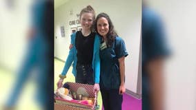 Metro Atlanta childhood cancer survivor gives back to other patients