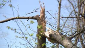 NWS now says 3 tornadoes touched down in metro Atlanta on April 7