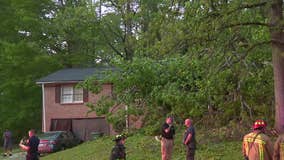 Tree topples onto Atlanta home, six rescued