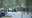 2 dead, 3 wounded in shooting at Forest Park motorcycle club gathering