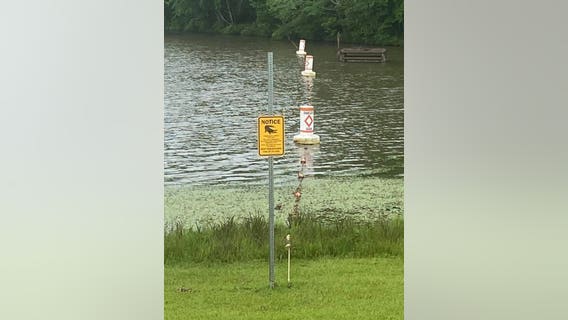 Alligator possibly spotted at Lake Jimmy Jackson in Hogansville