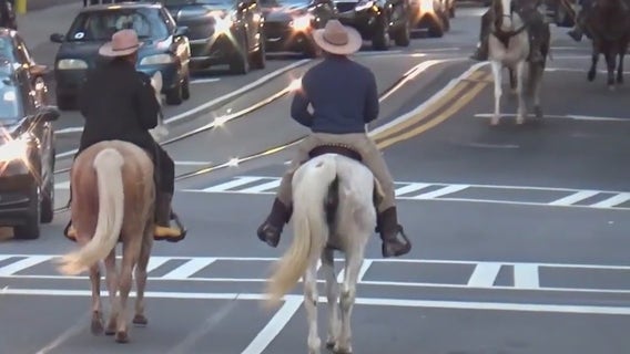Dead horse in downtown Atlanta fires up animal rights advocates