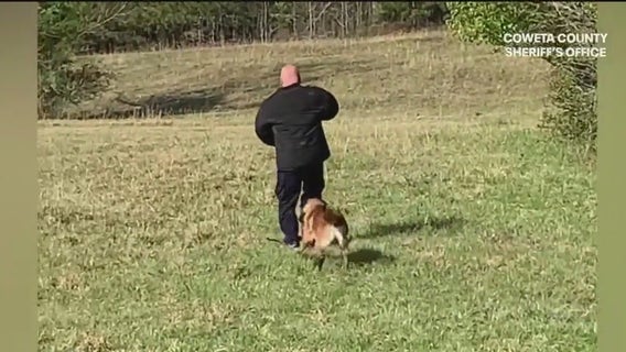 Coweta County Deputy Henderson returns with new K9 partner