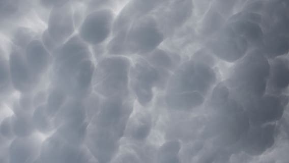 Additional tornadoes confirmed in Coweta, Fayette counties