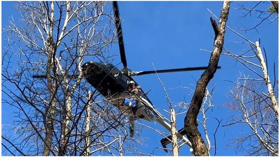 1 camper dead, 1 injured after large tree falls on campsite