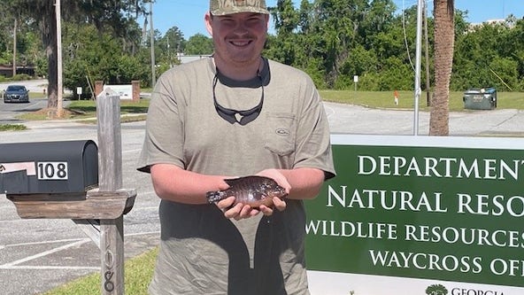 Georgia angler ties state record with massive spotted sunfish catch