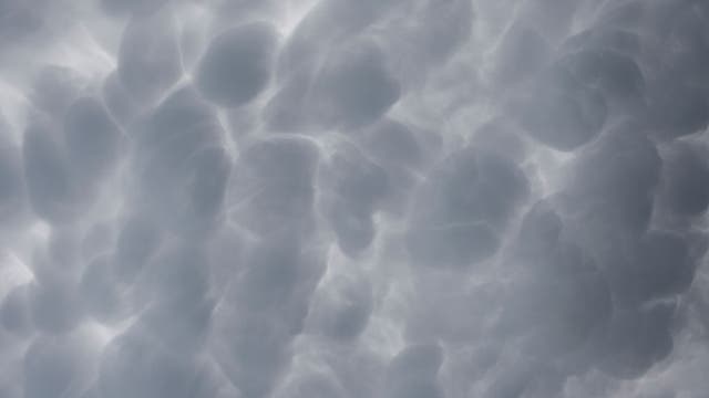 Additional tornadoes confirmed in Coweta, Fayette counties