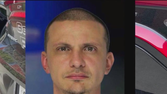 Speedy Gonzalez accused of $20K Walmart shoplifting spree across North Georgia