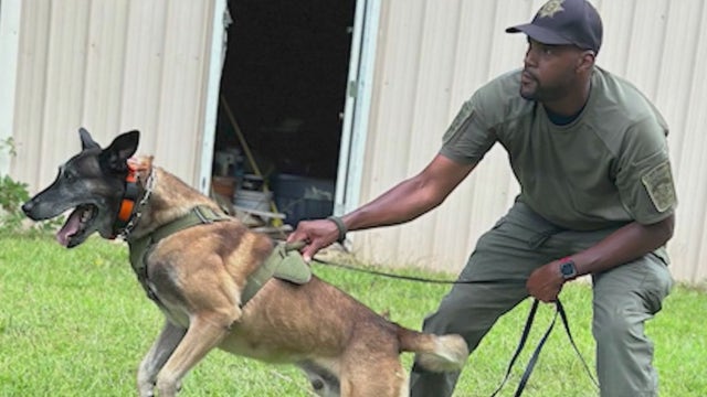 Fulton County K9 Ian remembered in emotional memorial after cancer battle