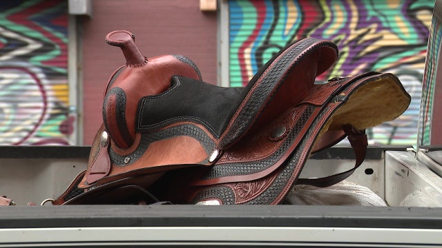 Horse collapses, dies on downtown Atlanta sidewalk