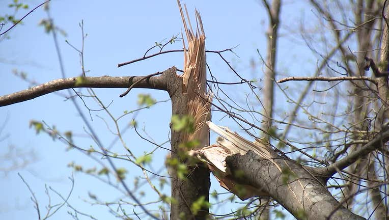 Cleanup continues in Henry County after an EF1 tornado tore through Henry County.