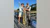 Angler lands 68-pound dolphin fish, matching state record