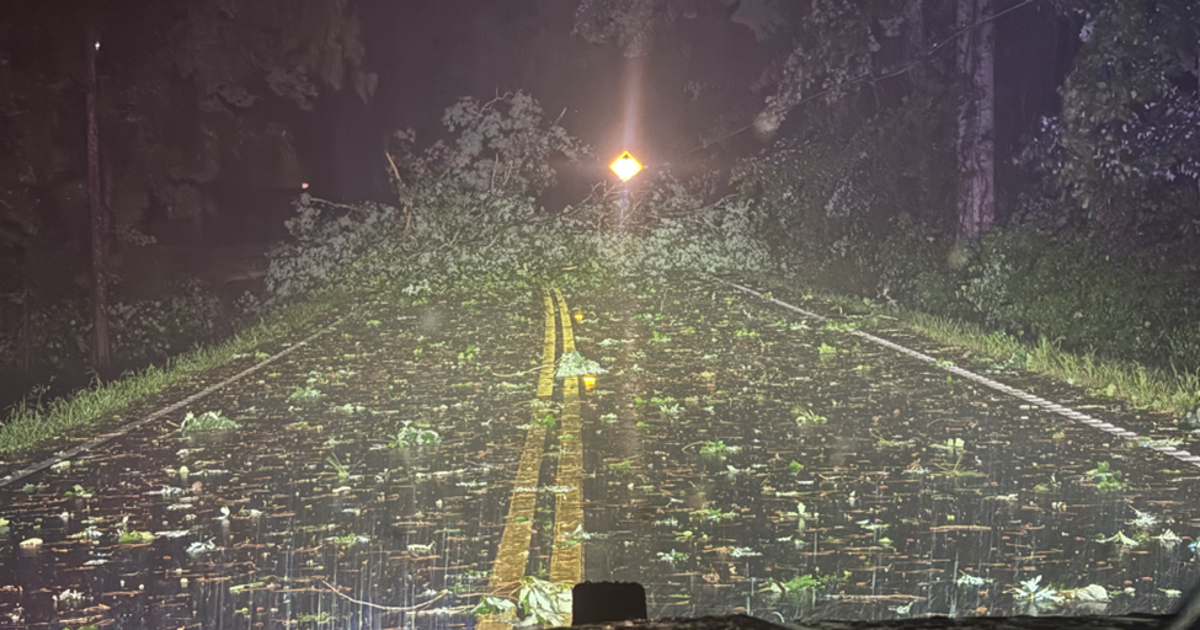 Cleanup continues after Georgia storms, multiple power outages reported ...