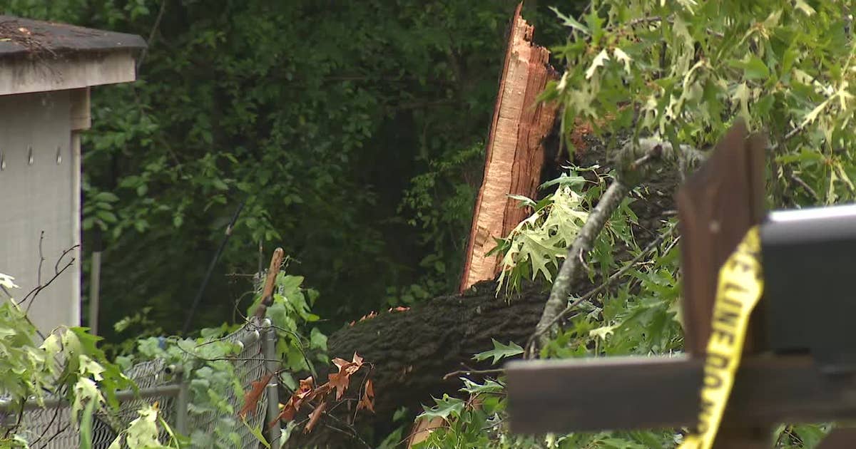 Severe thunderstorms, trees down around metro Atlanta-area | FOX 5 Atlanta