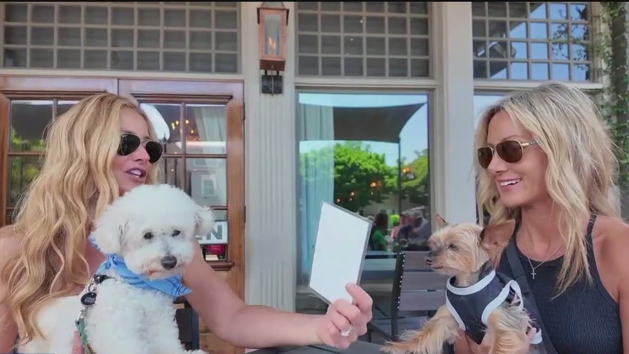 The Walking… Dog? Nic & Norman’s unveils gourmet canine menu