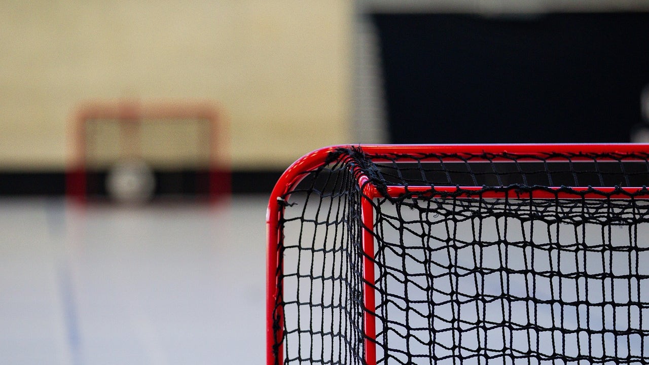 Alpharetta leaders to discuss possible sports venue near North Point Mall