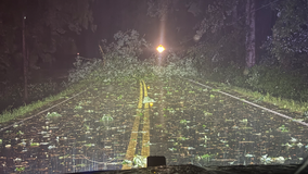 Cleanup continues after Georgia storms, multiple power outages reported