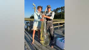 Angler lands 68-pound dolphin fish, matching state record