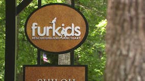Furkids scam: Shelter issues warning about impersonators out to get your money