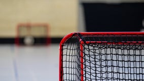 Alpharetta leaders to discuss possible sports venue near North Point Mall