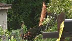 Severe thunderstorms, trees down around metro Atlanta-area