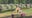 Woman targeted by thieves during Mother’s Day visit to cemetery
