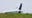 Delta flight's 2023 landing without nose gear explained in final report