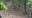 Man cited for death of mother bear in Pickens County community identified