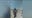 Atlanta Police Department's viral video humanizes officers and boosts recruitment effort
