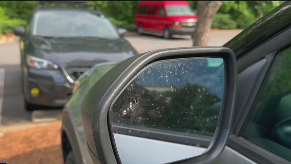 Thieves target Alpharetta neighborhood: 16 vehicles broken into overnight