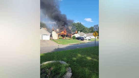 Heroic firefighters rescue two dogs from blaze in Cherokee County