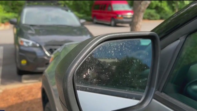 Thieves target Alpharetta neighborhood: 16 vehicles broken into overnight