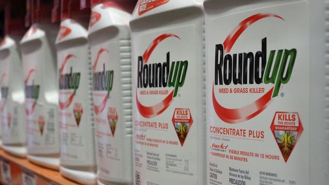 Georgia becomes 2nd US state to shield Roundup maker from lawsuits