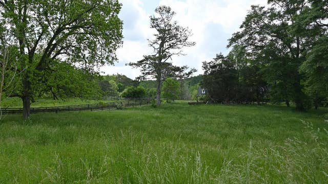 Milton City Council votes to preserve 40-acre Hopewell Road property as greenspace