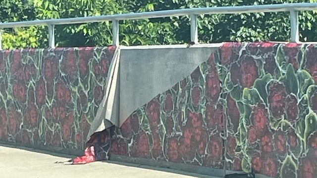 McDonough mayor 'saddened' over public art vandalism